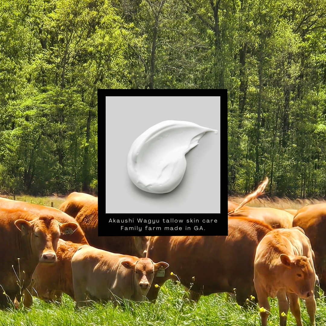 Akaushi Wagyu Tallow skin care