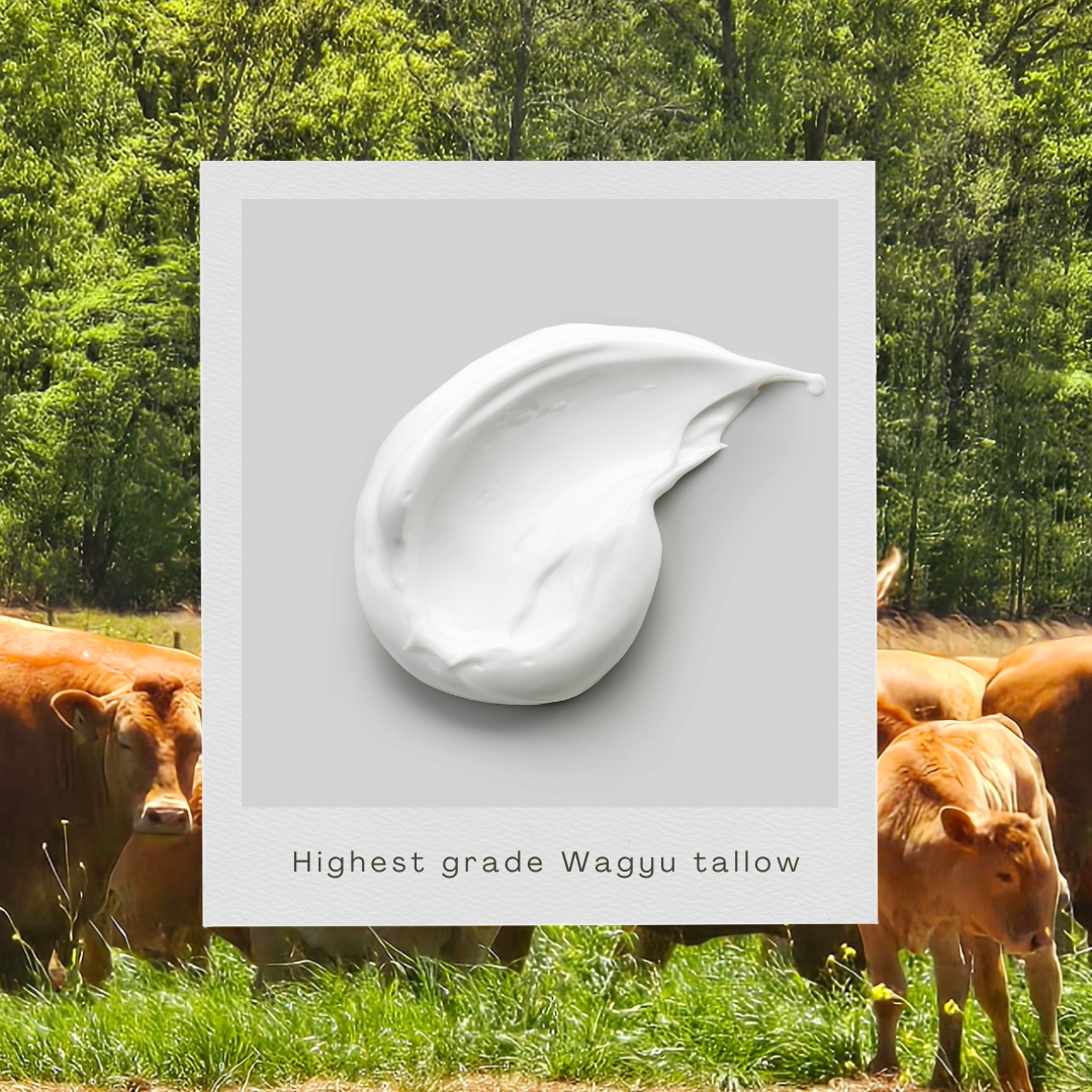 2 oz. Akaushi Wagyu tallow