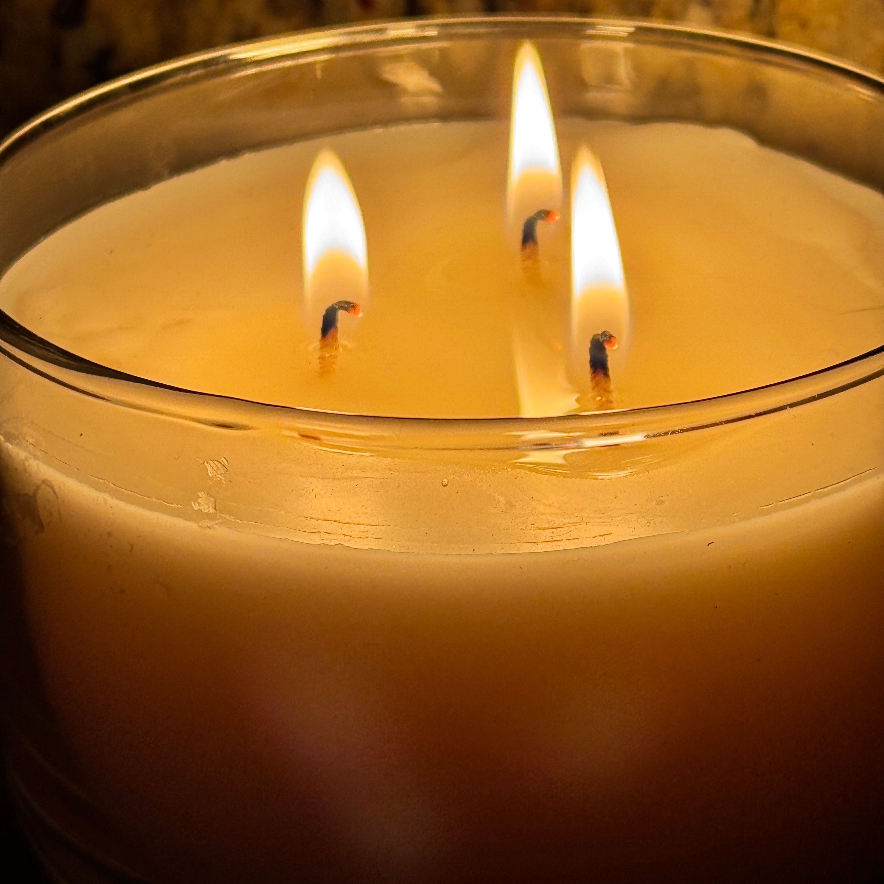 3 wick Garden Of Eden candle – Gan Aden Farms