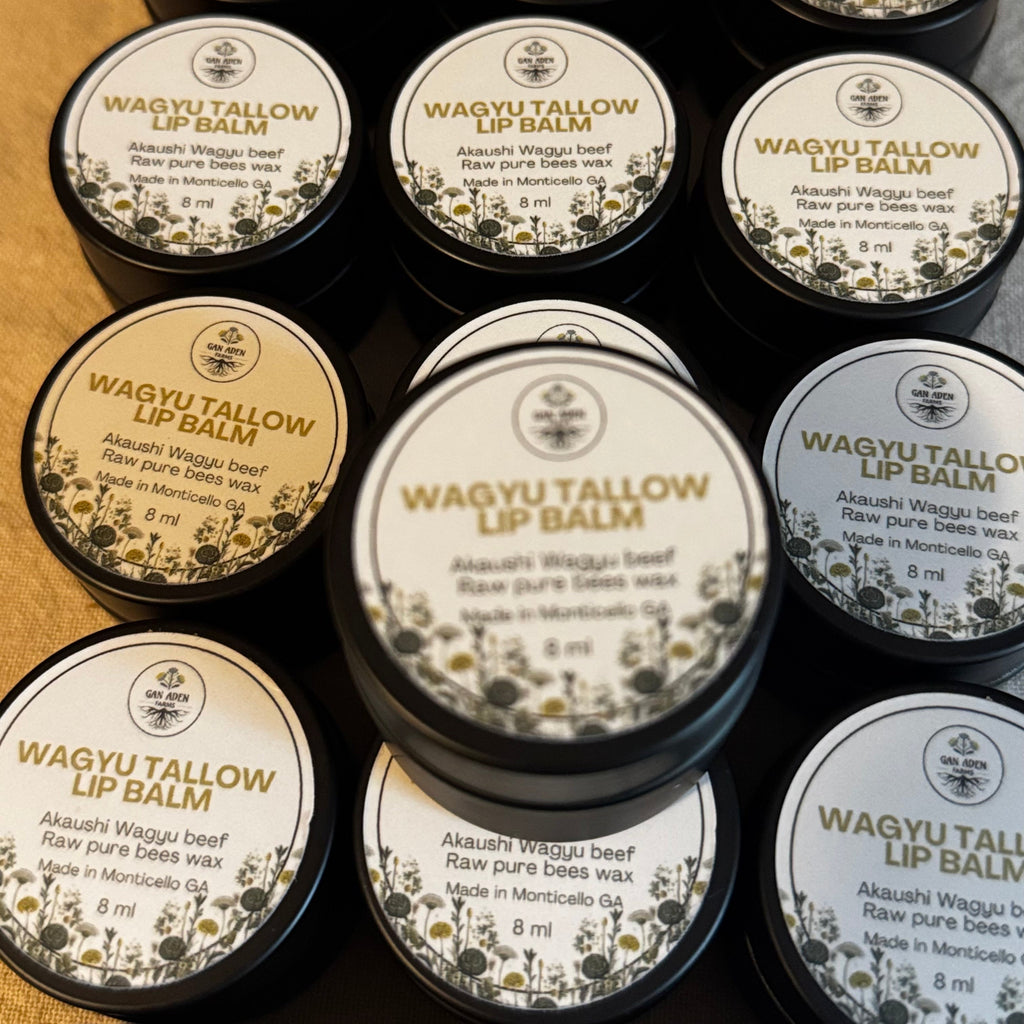 Multiple containers of Wagyu Tallow Lip Balm arranged on a surface.