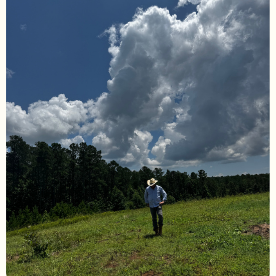 A split promotional graphic: the left panel shows a person standing in a grassy field under a dramatic cloudy sky, and the right panel has the Gan Aden Farms logo and a quote by Greg Mauro, Co-Founder, on a cream background.
