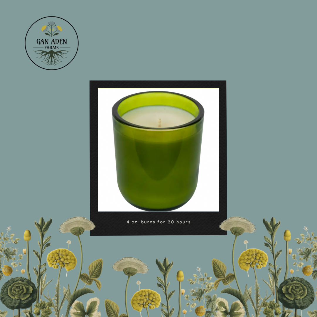 Garden Of Eden candle