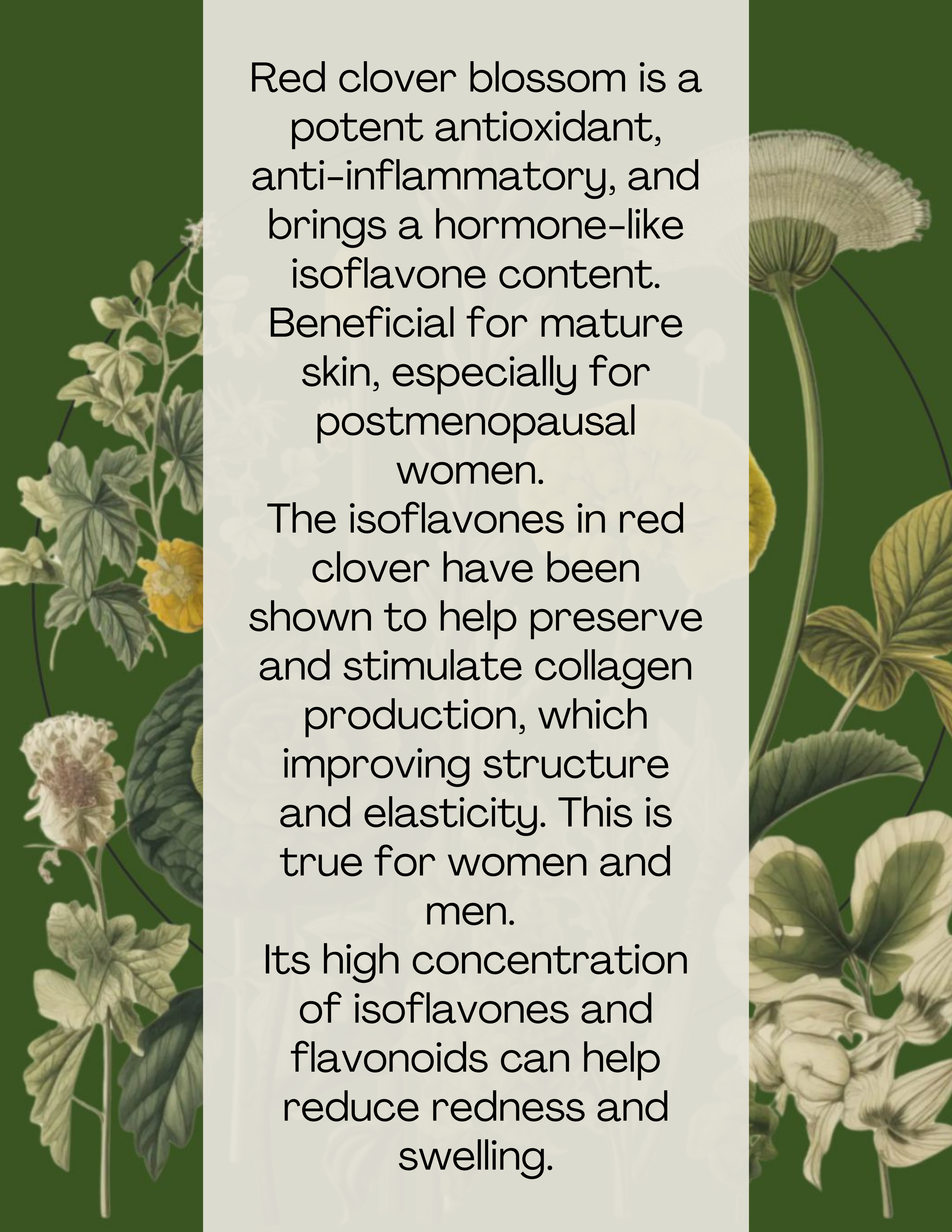 4 oz. Akaushi Wagyu Tallow